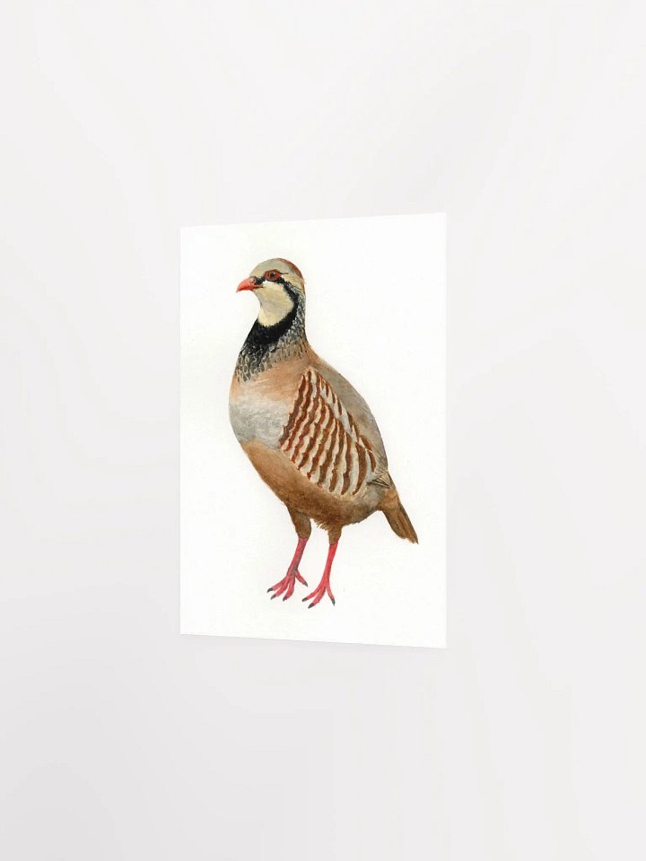 Partridge print product image (2)