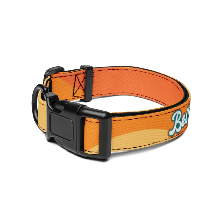 Besties Pet Collar product image (2)