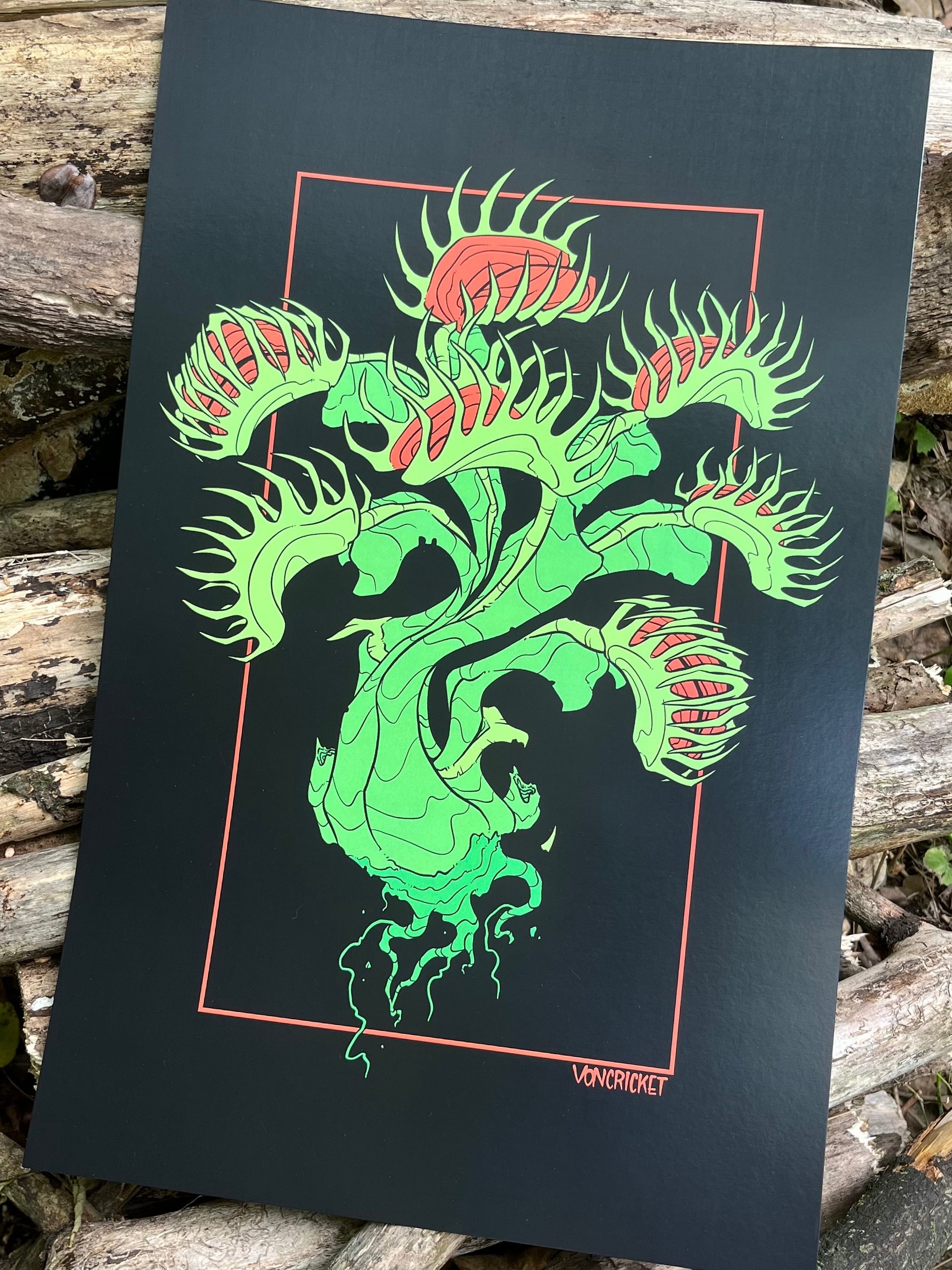 Dionaea - Print product image (1)
