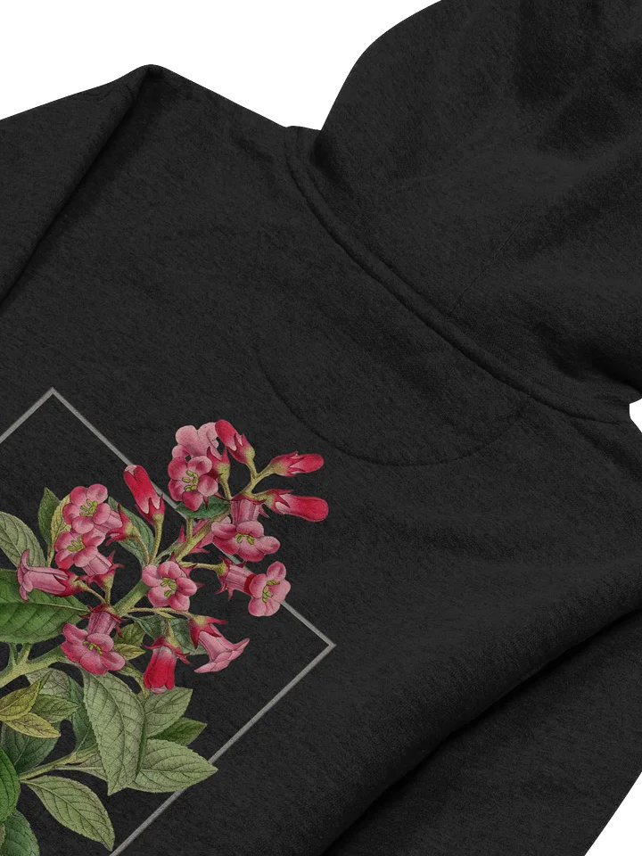 Escalonia macrantha Premium Adult Unisex Hoodie product image (2)