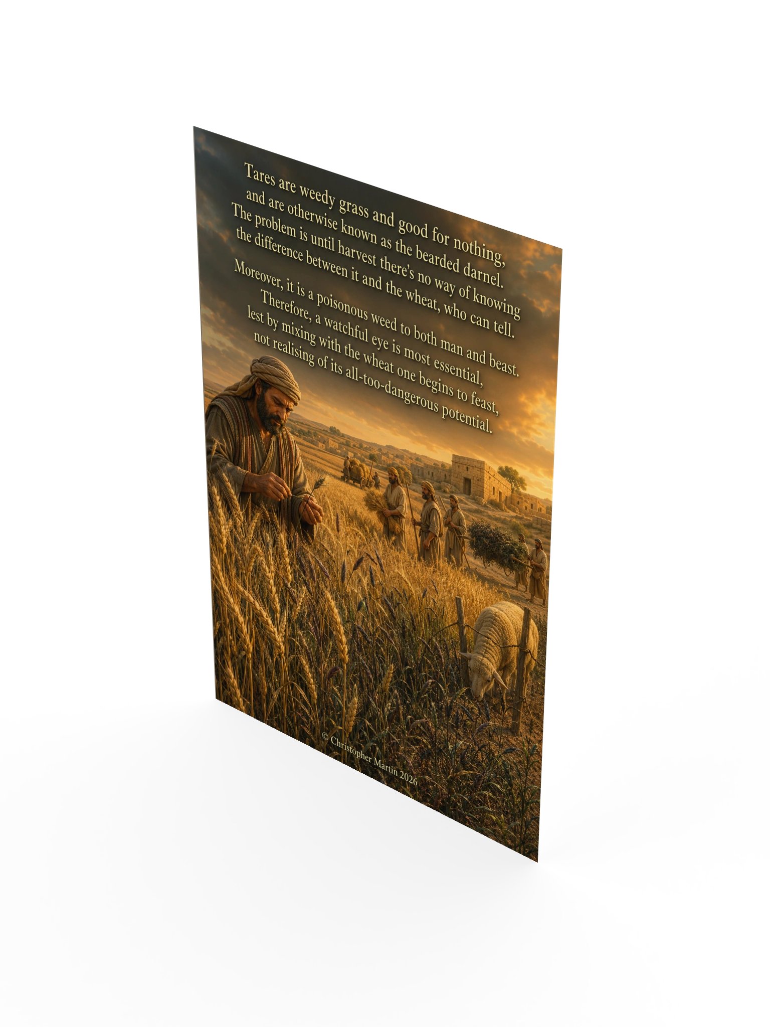 Tares and wheat product image (3)