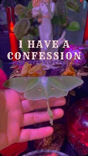 🌸New Project Launch Announcement💀
We are so excited to announce our newest project, Pomegranate Confessions!
Join us, Ashley ...