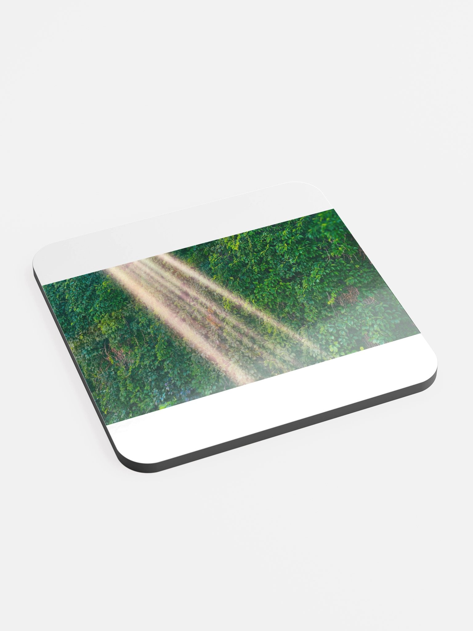 Sunlit Foliage Glossed Cork Coaster product image (2)