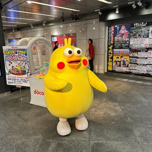 the birds in Japan hit different in real life 👀✨