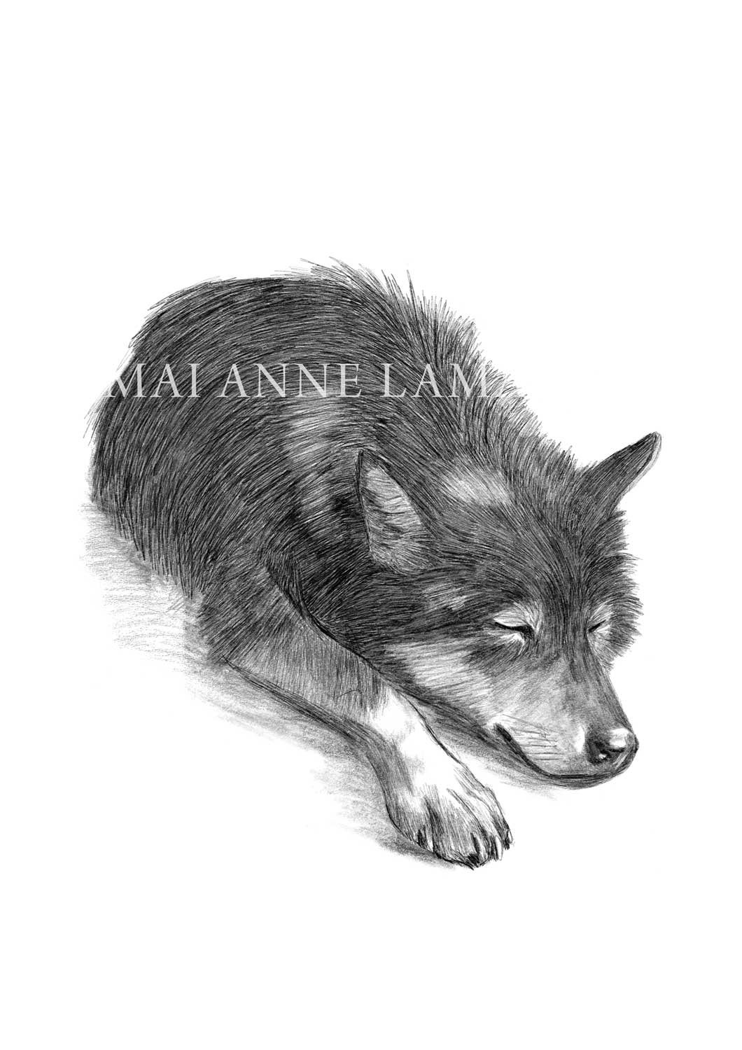 Wolf Sleeping | The Heart of Shadow Art Print product image (1)