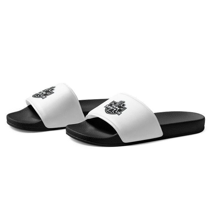 TDL slides product image (1)