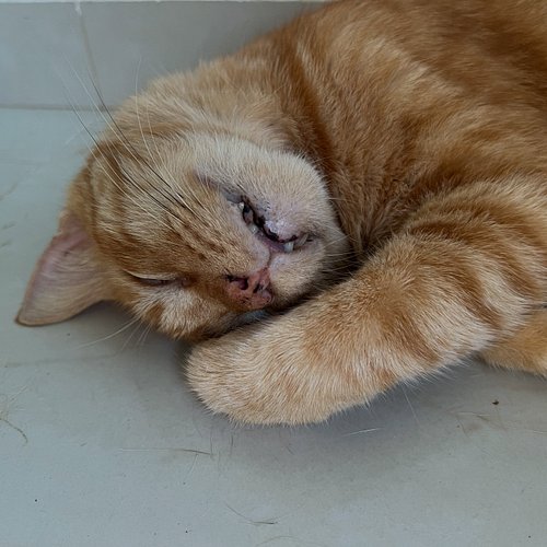 Gatipo wishes you a lovely day.