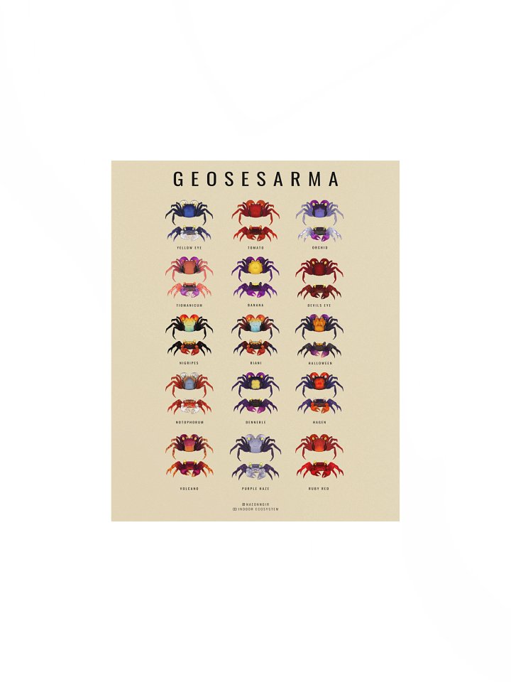 GEOSESARMA VAMPIRE CRAB POSTER (CREAM) product image (1)