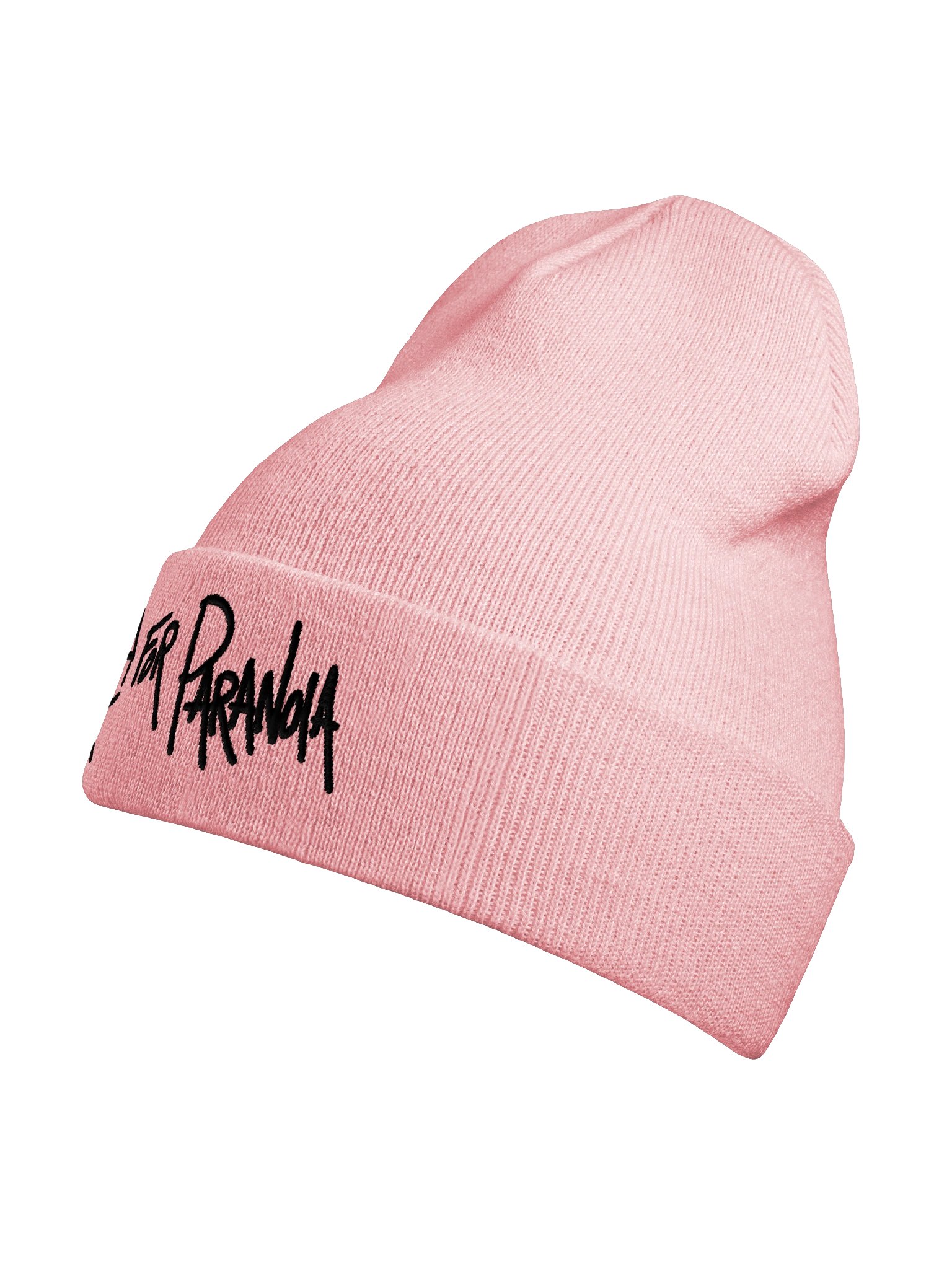Logo Beanie 1 product image (18)