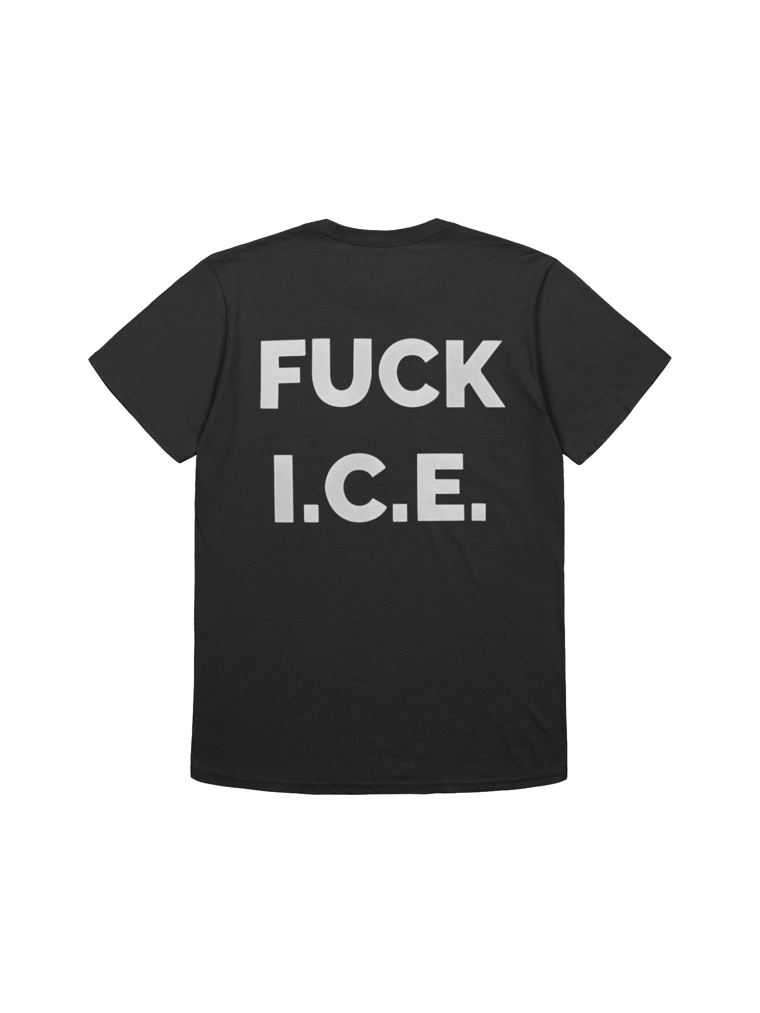 Stolen Land, No Human Illegal Shirt – Radical Truth Anti-ICE product image (2)