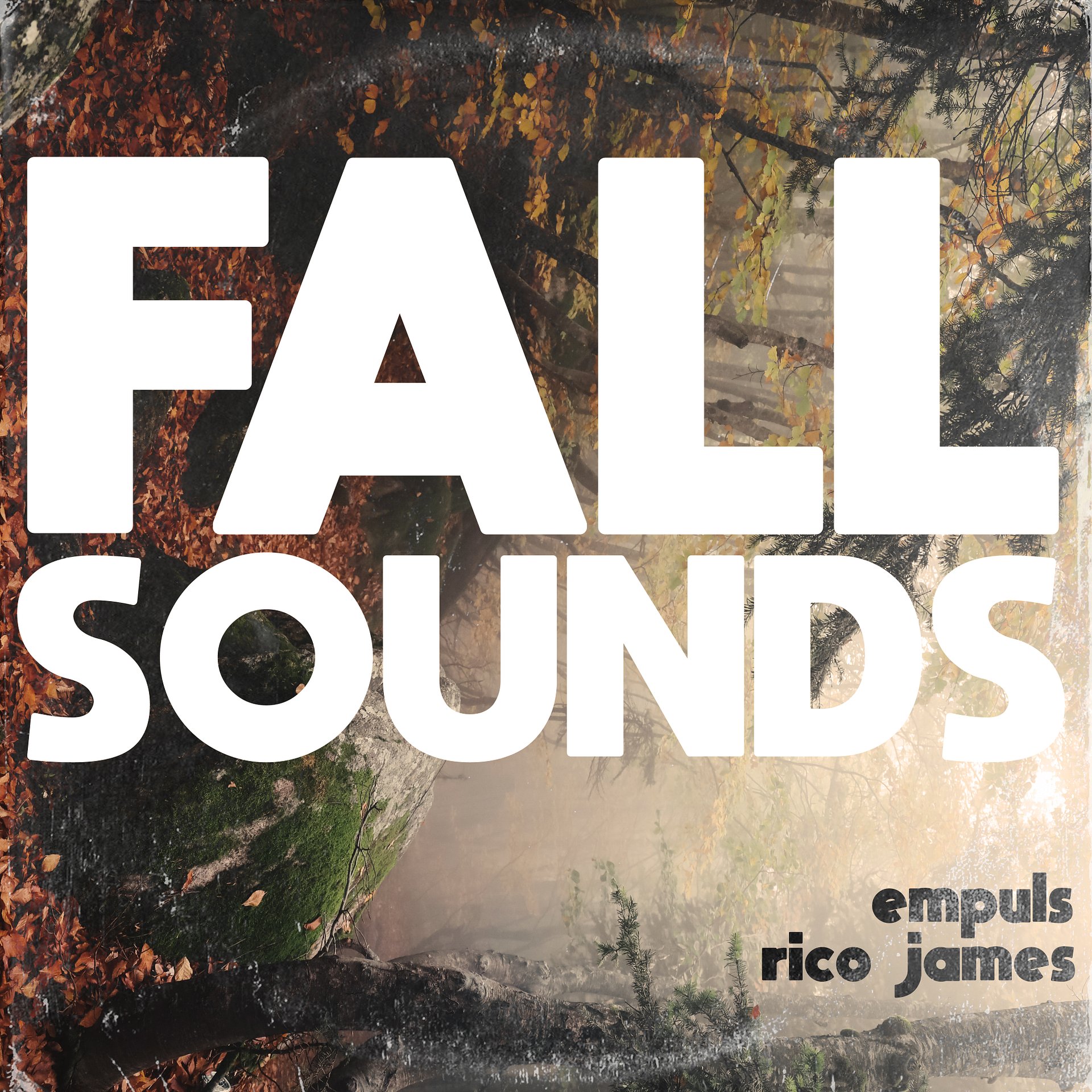 Fall Sounds - Empuls & Rico James product image (1)