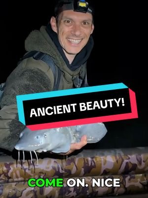 Incredible Fish with incredible power! Absolutely love Sturgeon.. proper game changer fish! #fishing #fishingtiktoks #fishingvideos 