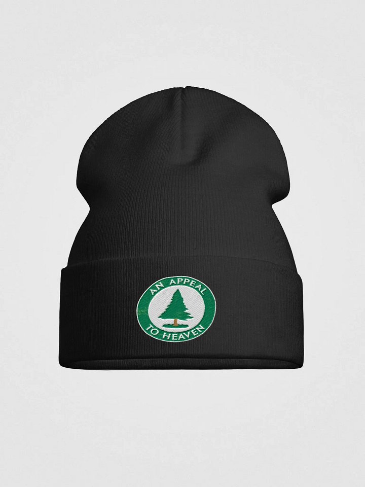 An Appeal To Heaven - Beanie product image (1)