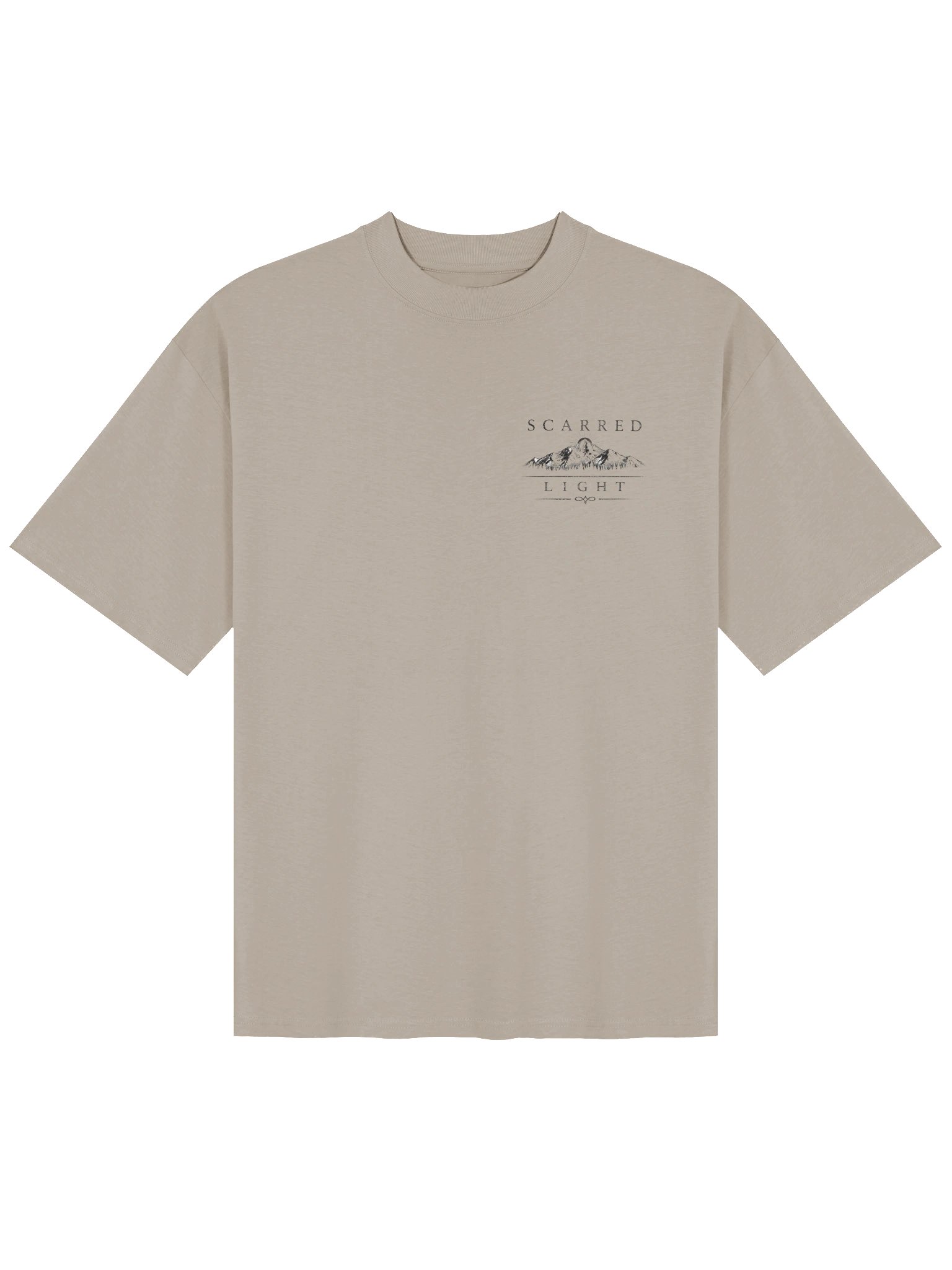 Scarred Light Organic Oversized T-Shirt product image (1)