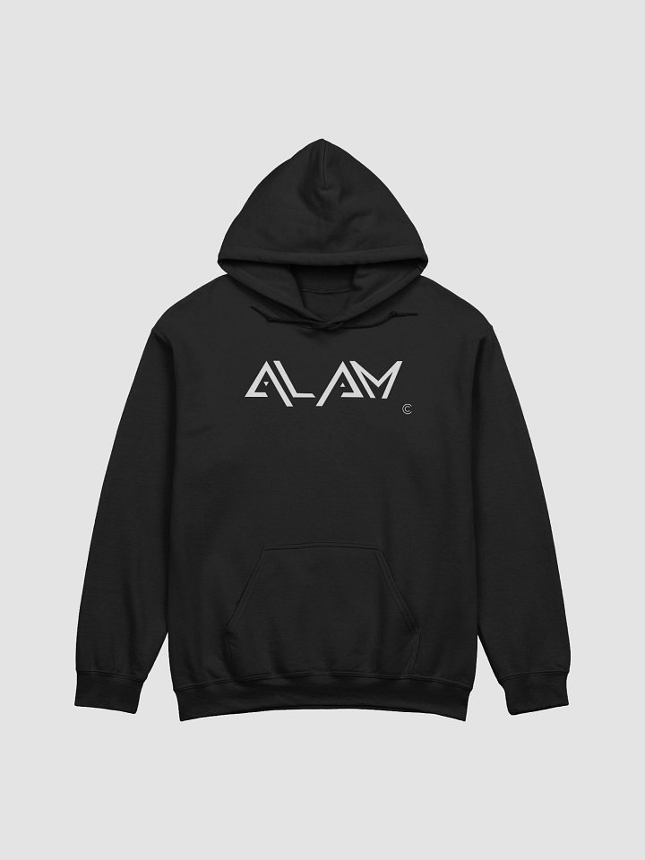 ALAM Standard Hoodie product image (4)