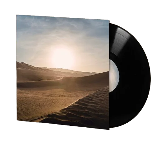 The Oasis 12" Vinyl product image (1)