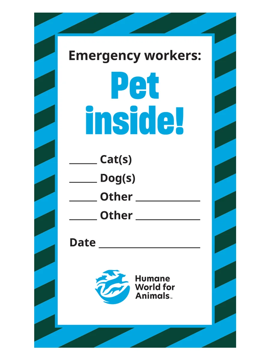 Pet Inside Window Cling product image (1)