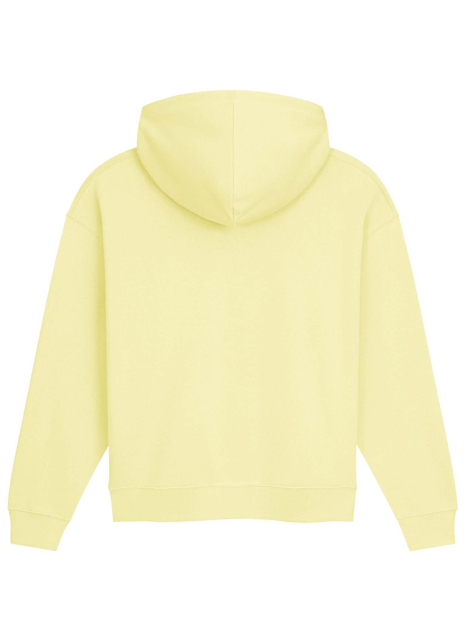 Bug Band Embroidered Hoodie product image (2)