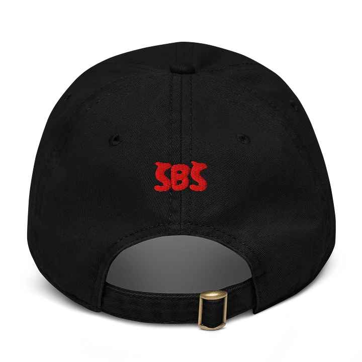 ALT, GAY AND FROM NJ DAD HAT product image (2)