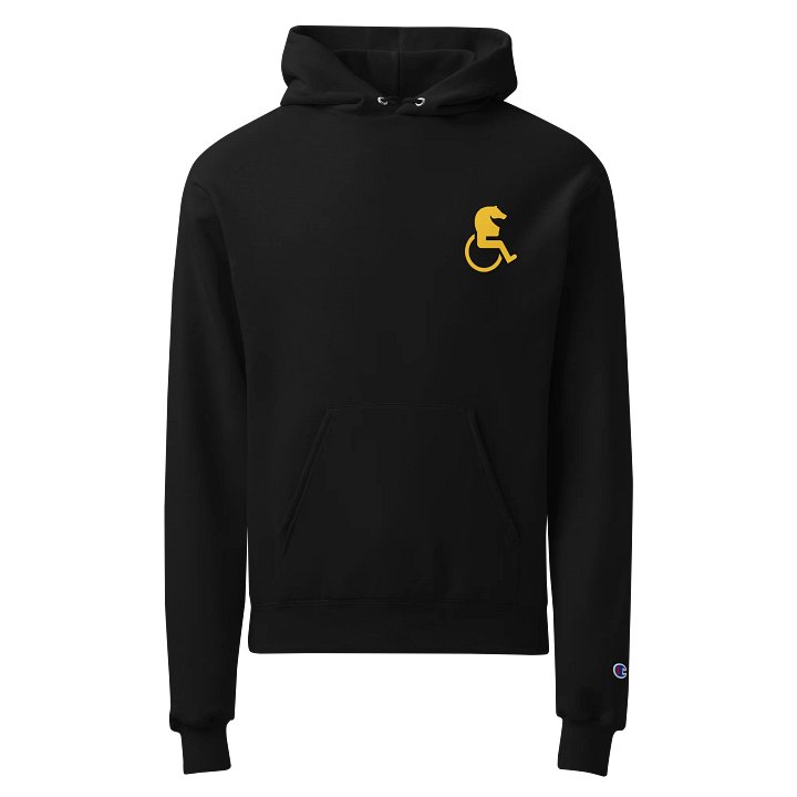 D1sabl3d 5 Years hoodie product image (1)