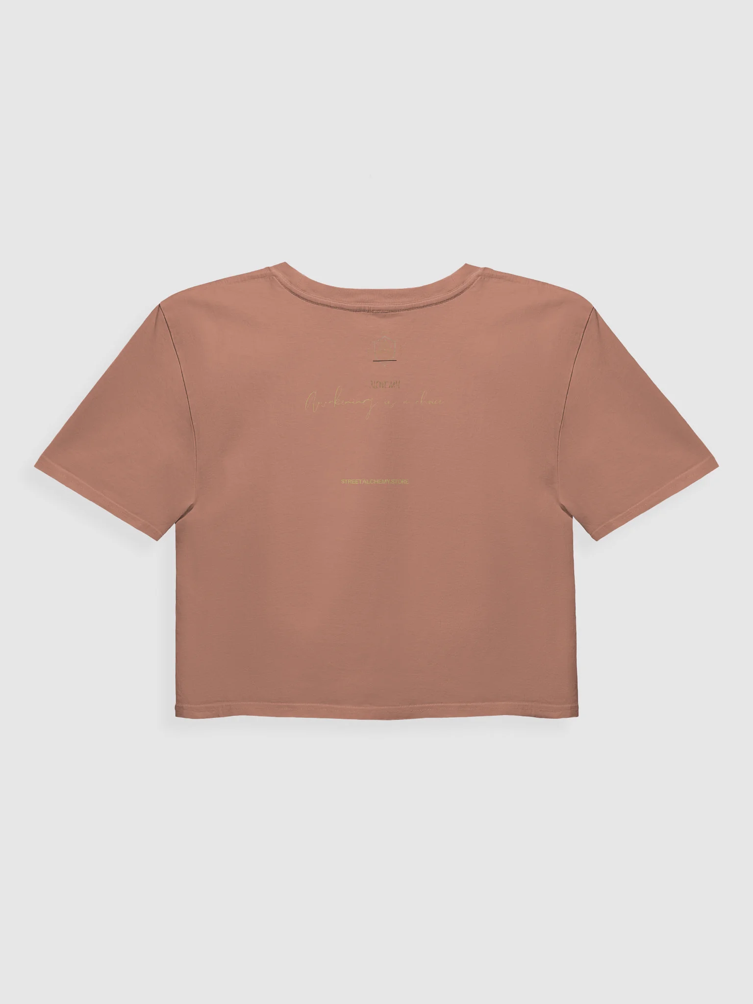 Sinless Streetwear Crop Top product image (2)