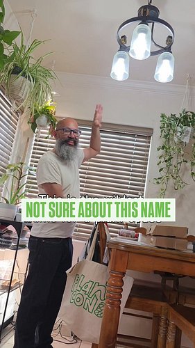 What do yall call your plant spaces? 🪴🤣

#plantcorner #hangingplants #pothosnjoy #spiderplant #plantcouple