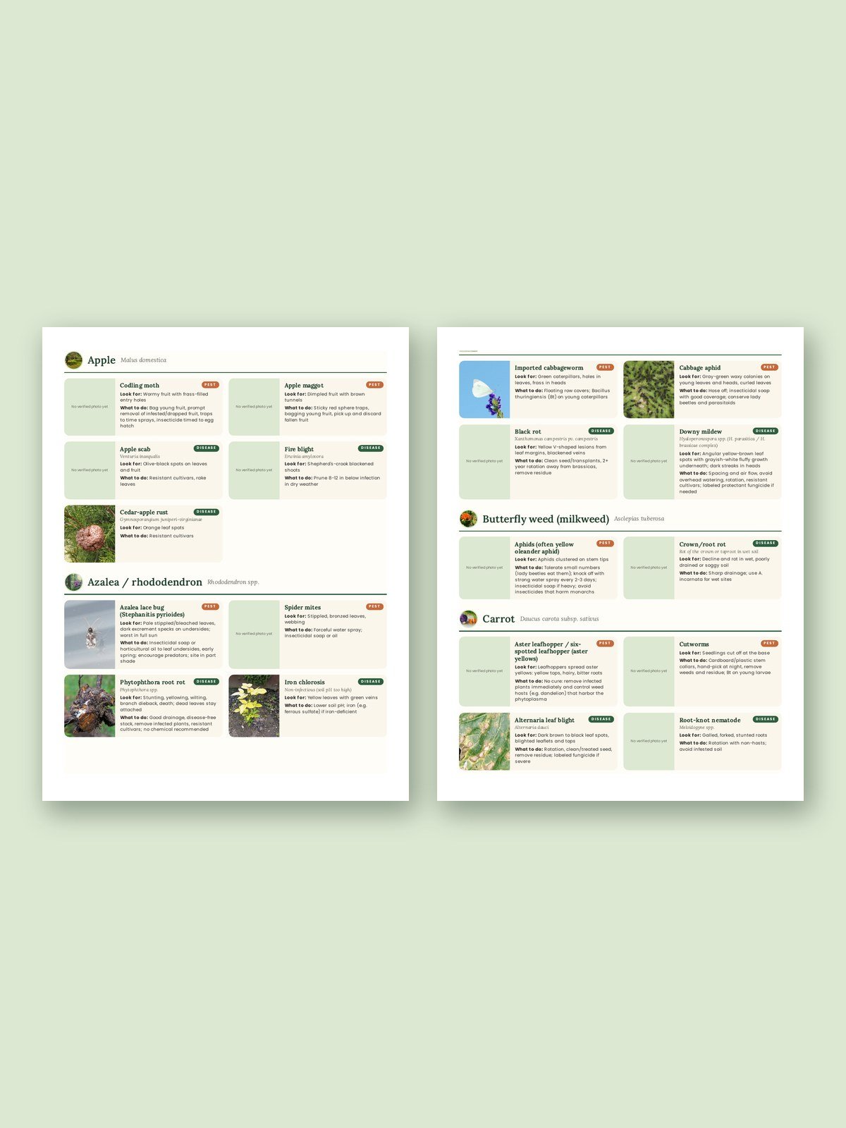 The Plant Doctor: Pest and Disease Charts (USA Edition) product image (2)