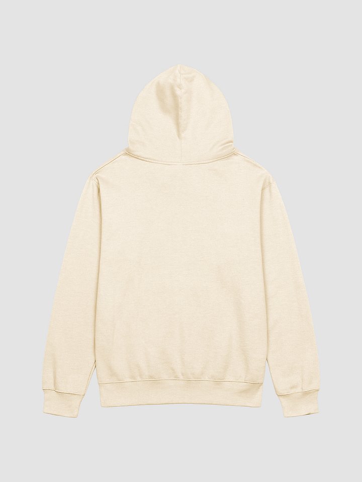 hoodie that you kinda can't read product image (2)