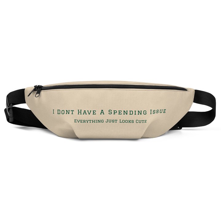 Fanny Pack product image (1)
