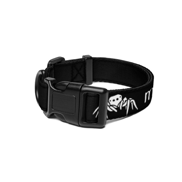 "My other dog is a jumping spider" dog collar product image (1)