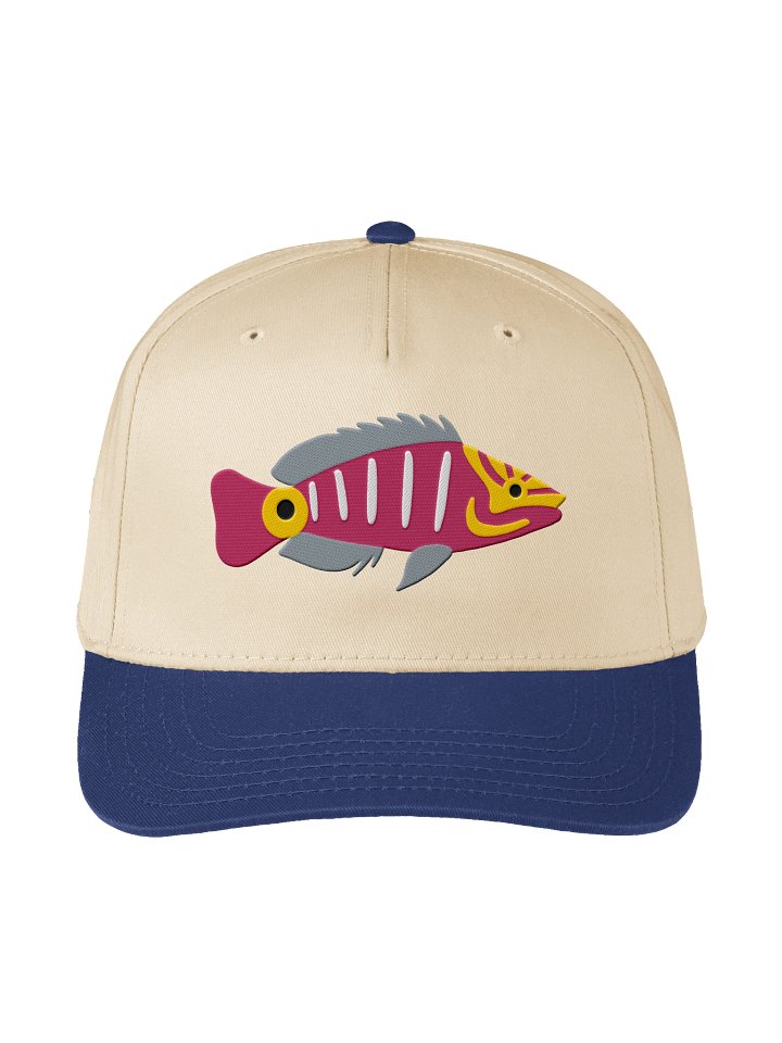 Mystery Wrasse Embroidered Mid-Profile Baseball Cap | Saltwater Reef Fish Hat product image (13)