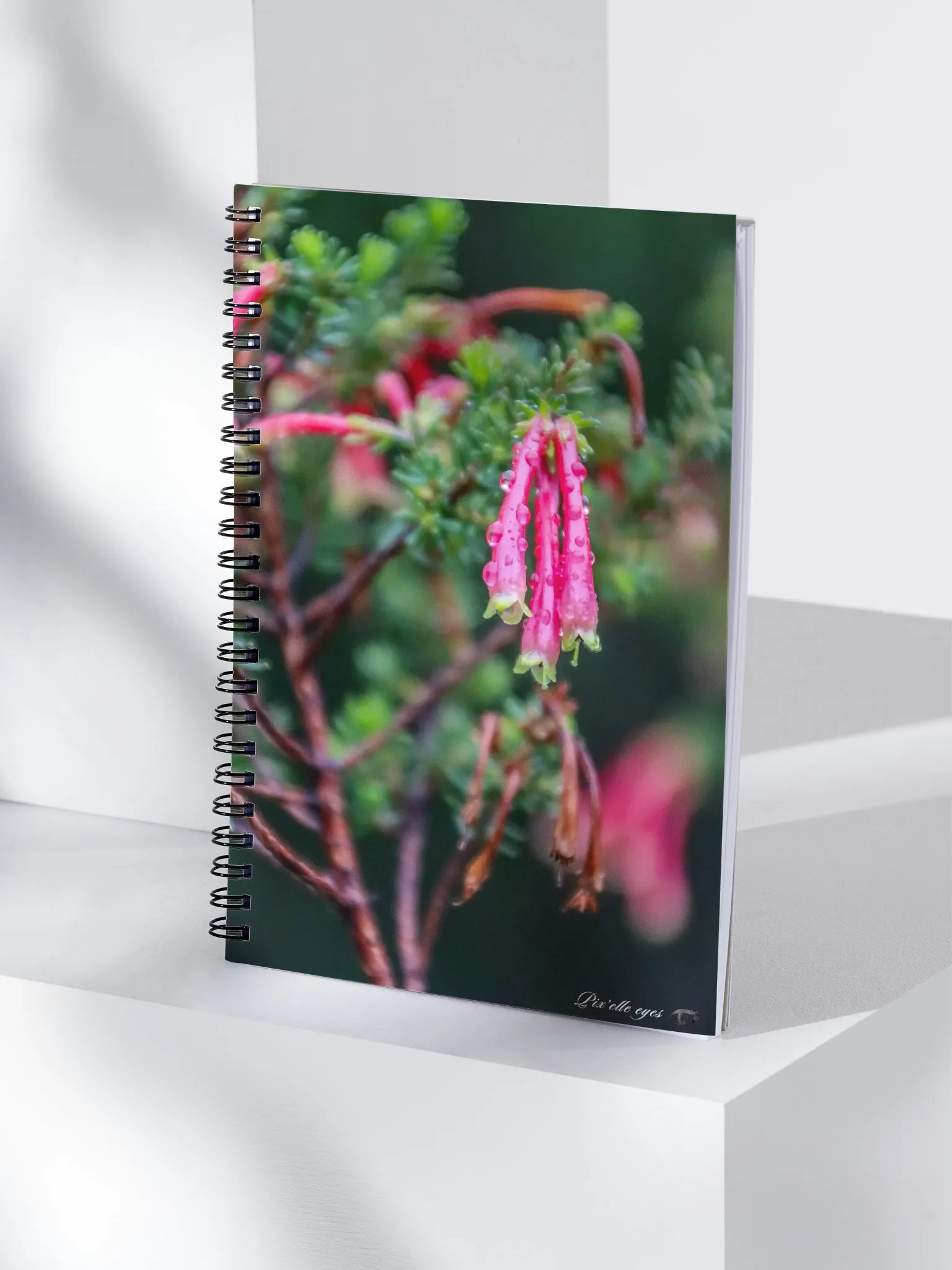 📓 Notebook Collection PURE – Jardin du Rayol – Erica Discolor product image (4)