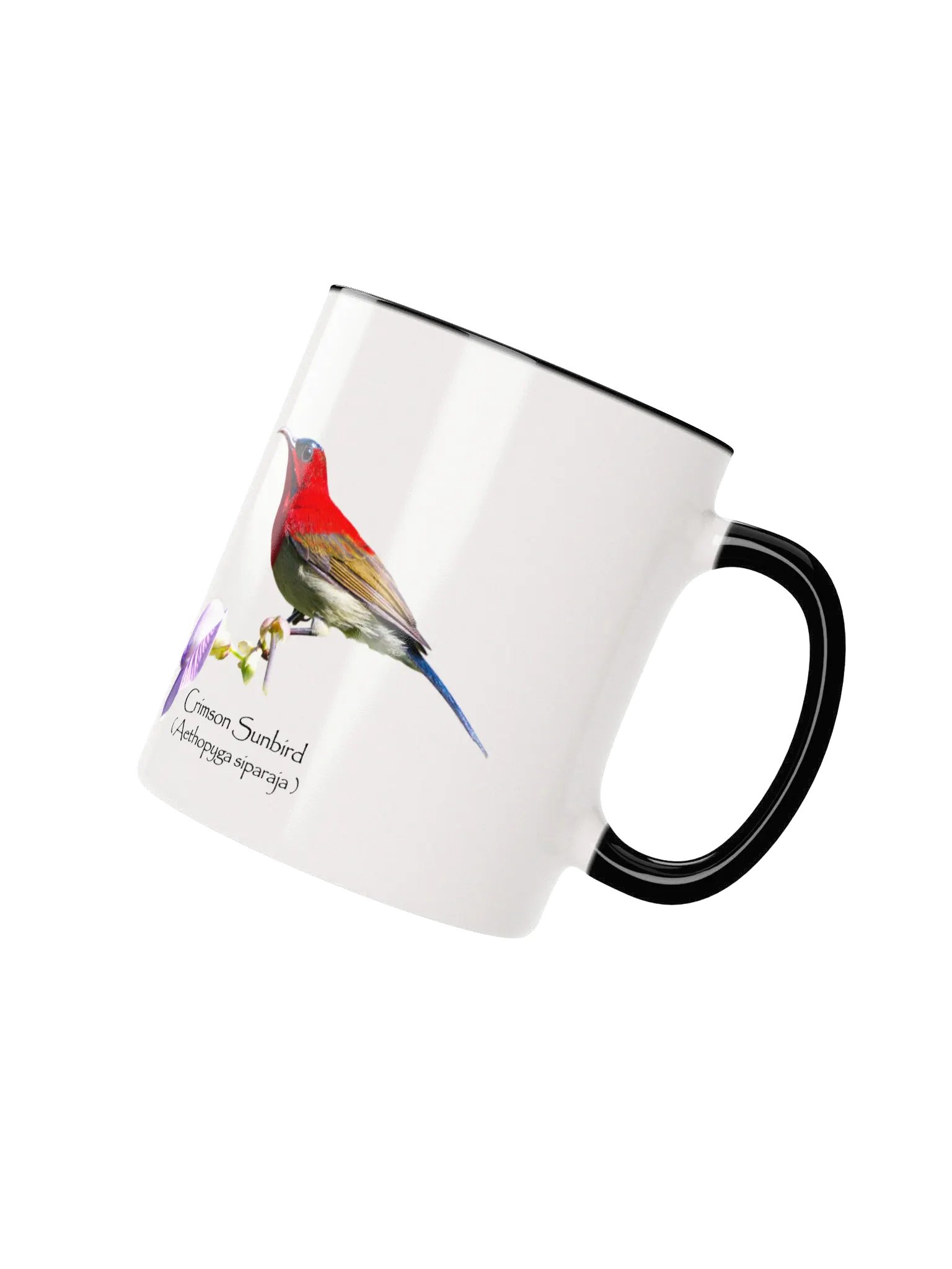 Crimson Sunbird mug product image (13)