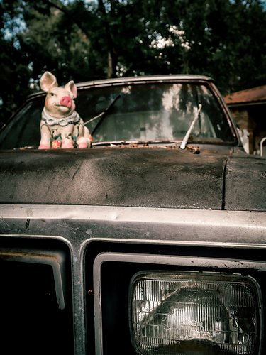 Ford or Dodge?
We stopped for a few photography breaks on our roadtrip. I’ve always loved taking photos but I can’t help but ...
