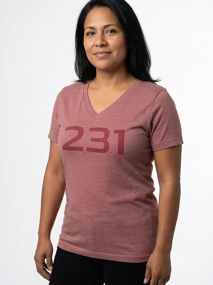 231 Relaxed V-Neck Tee product image (2)