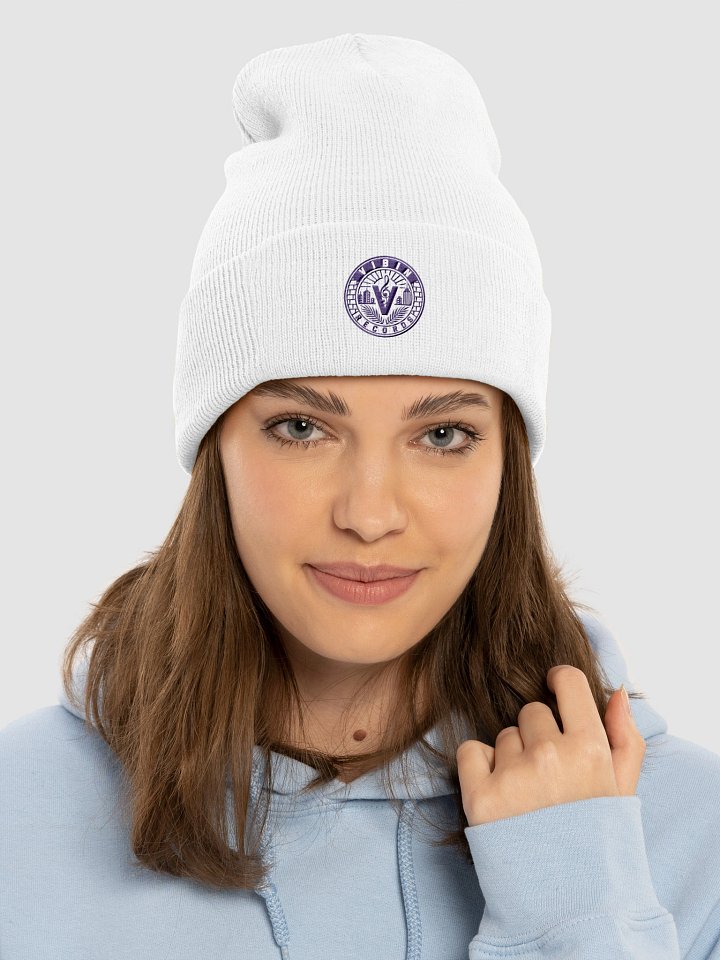Vibin' Embroidered Beanie product image (1)