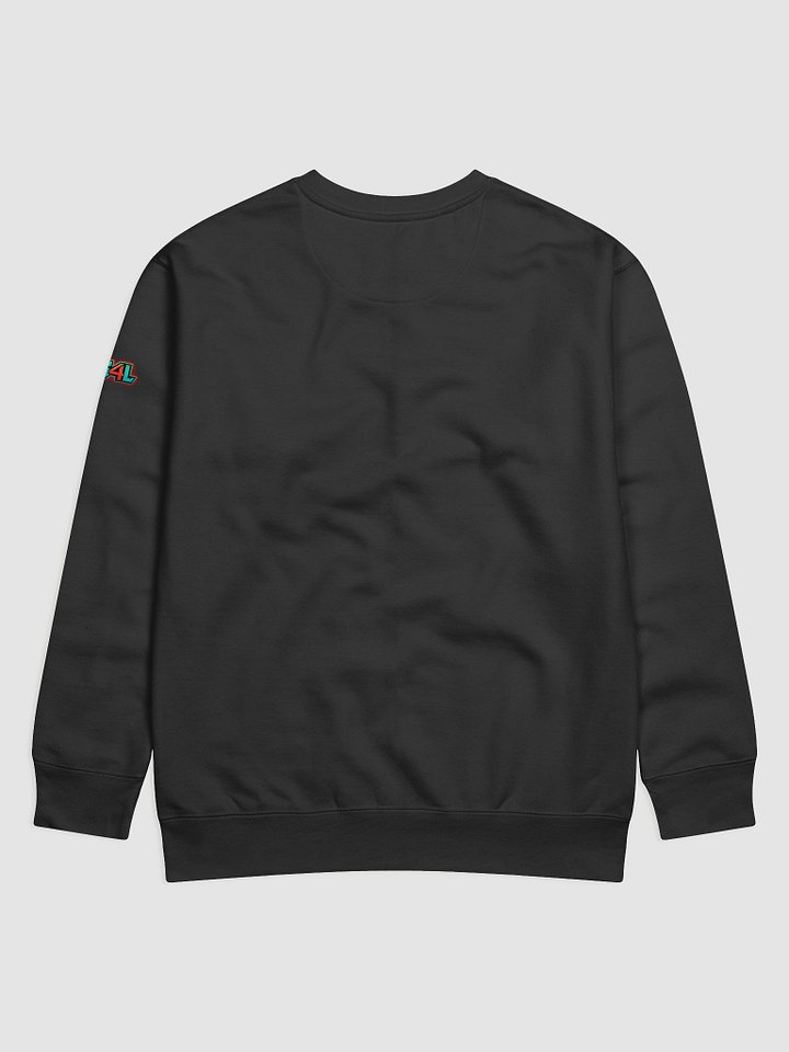 DG Sweat Shirt product image (2)