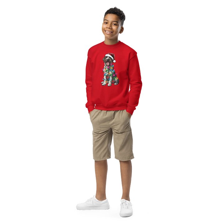 Funny Christmas Wirehaired Pointing Griffon(Liver Roan) Youth Sweatshirt product image (1)