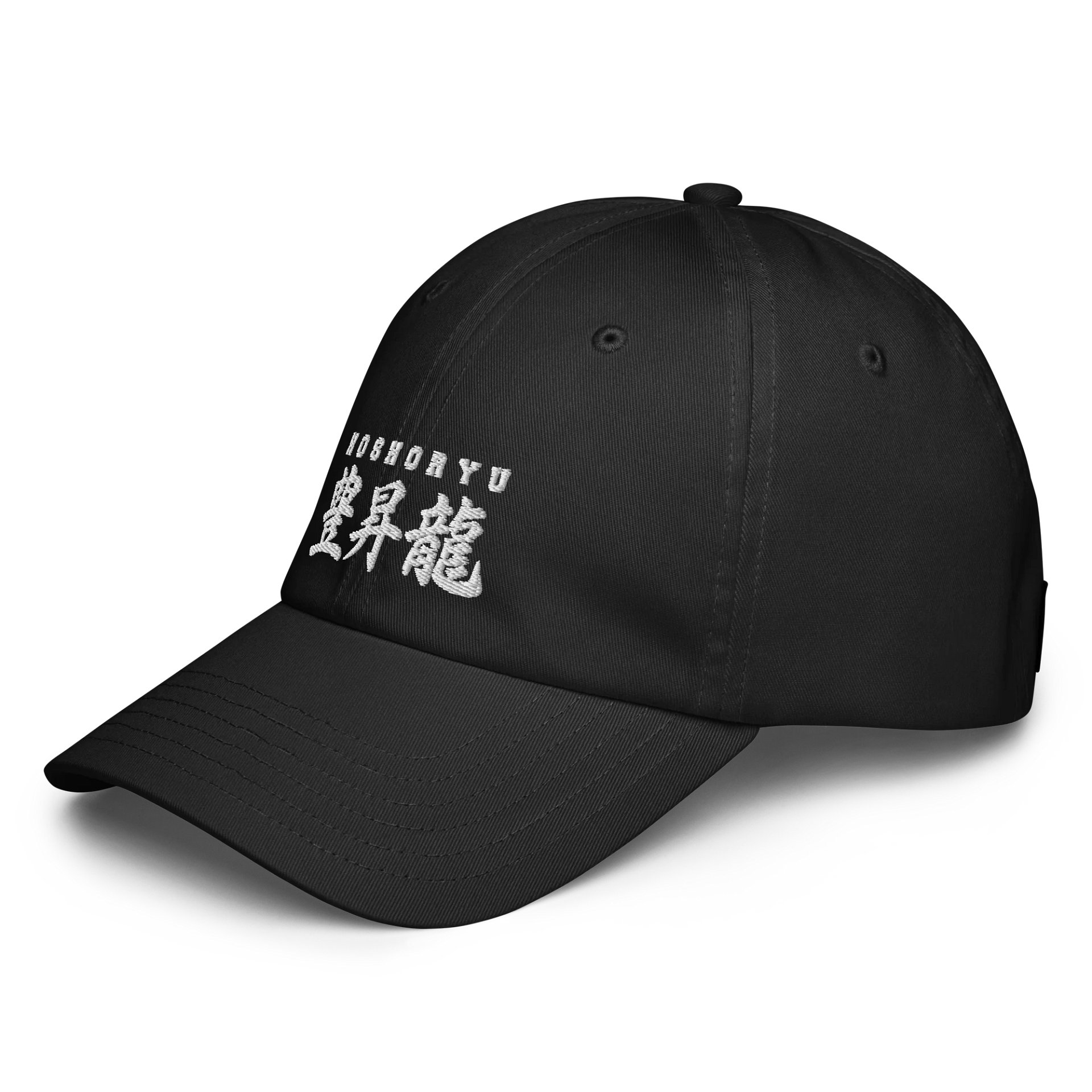Hoshoryu [Kanji] Dad Hat 2025 product image (3)
