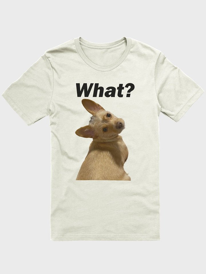 Say What? product image (11)