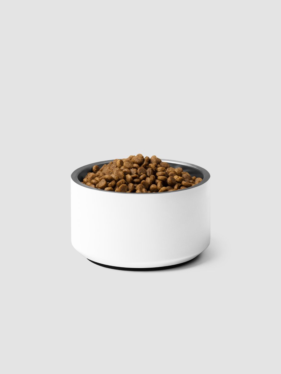 devoLOVE Pet Bowl product image (5)