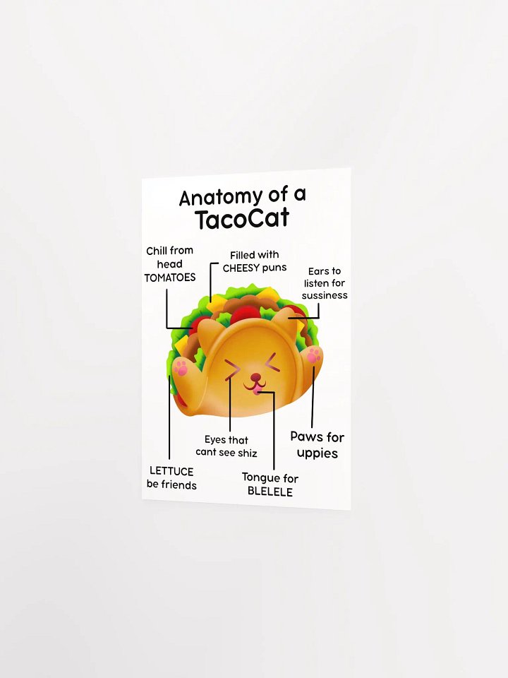 TacoCat Anatomy Poster product image (18)