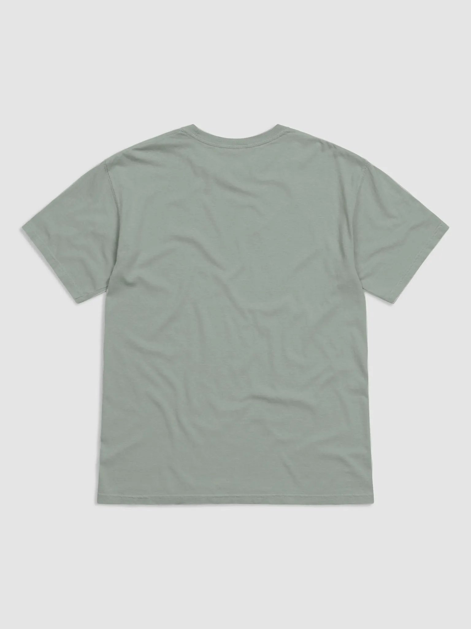 ItsyBitsy T-shirt product image (2)
