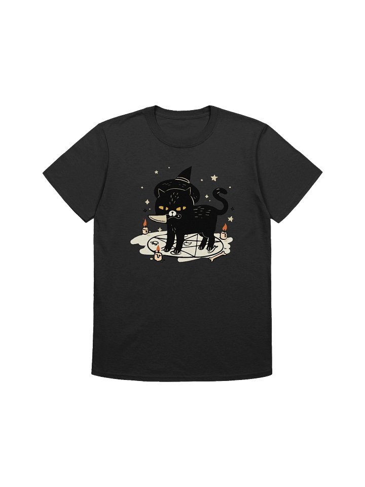 Spilt Milk Softstyle Tee product image (1)