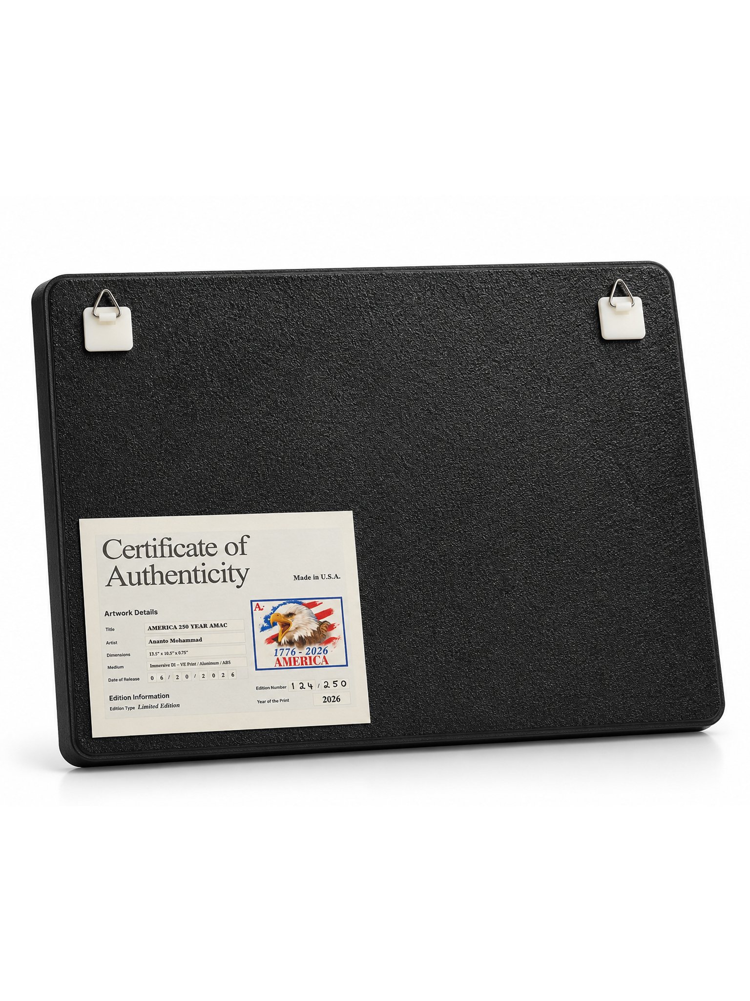 Exclusive America 250 Limited Edition Commemorative Plaque product image (3)