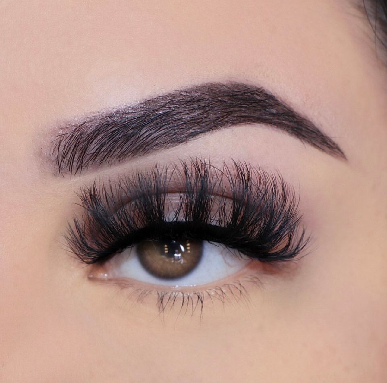 Trophy Lashes product image (1)