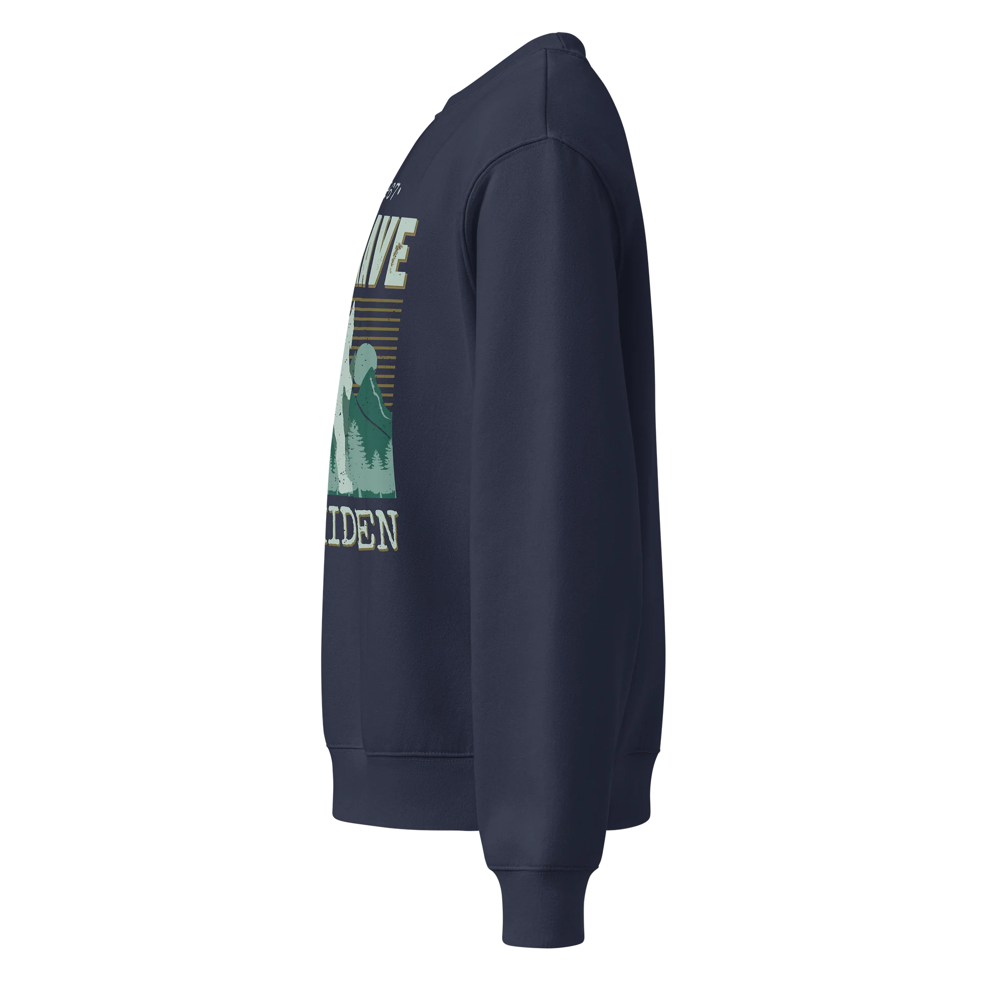 Be Brave Stay Hidden Oversized Crewneck product image (11)