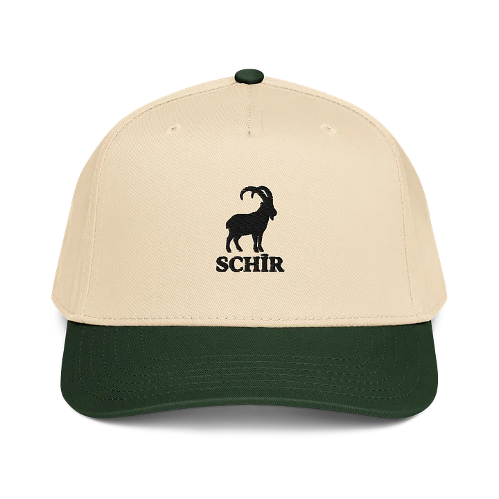 CLASSIC HAT product image (1)