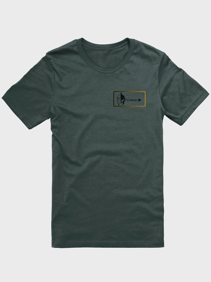 Warrior's Legacy Roman Soldier Felonious T-Shirt product image (4)