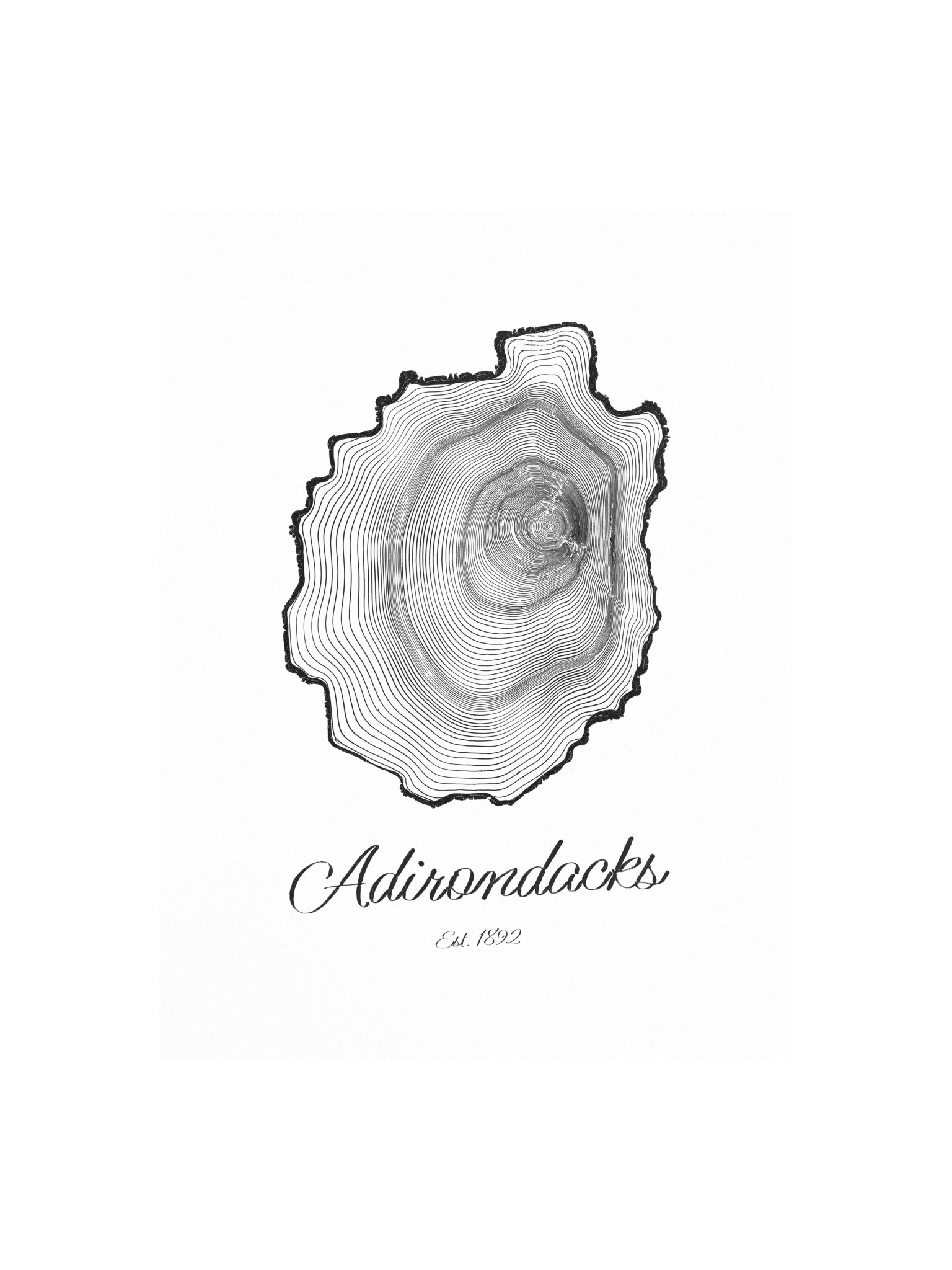 Adirondack Park Tree Ring Poster product image (1)